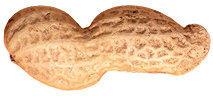 Drizzy image