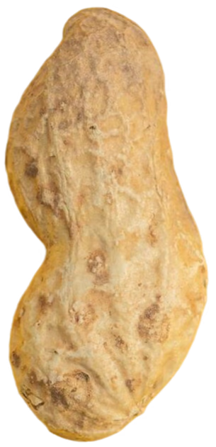 Drizzy image